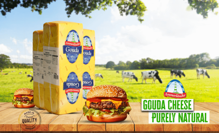 Ammerlander Gouda Cheese 48% FDM – Premium German Gouda for UAE Food Service